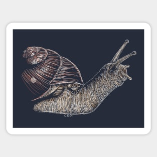 Snail Sticker